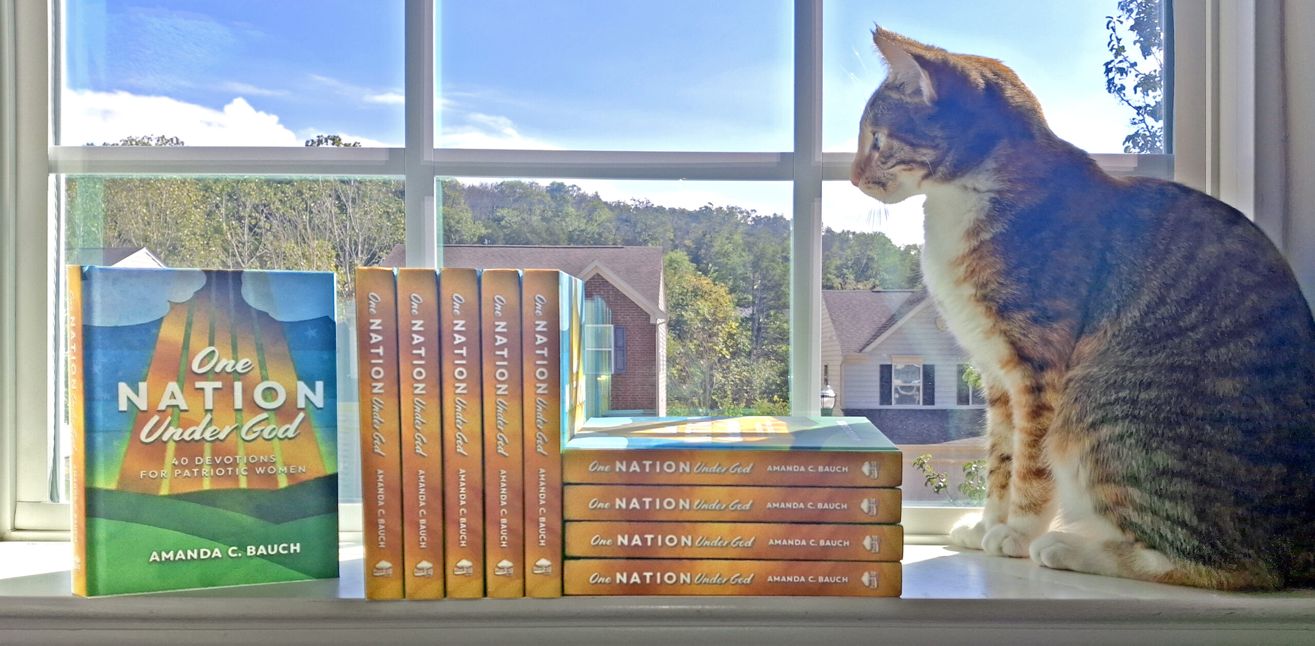 Cat sitting on a window sill next to copies of the book One Nation Under God