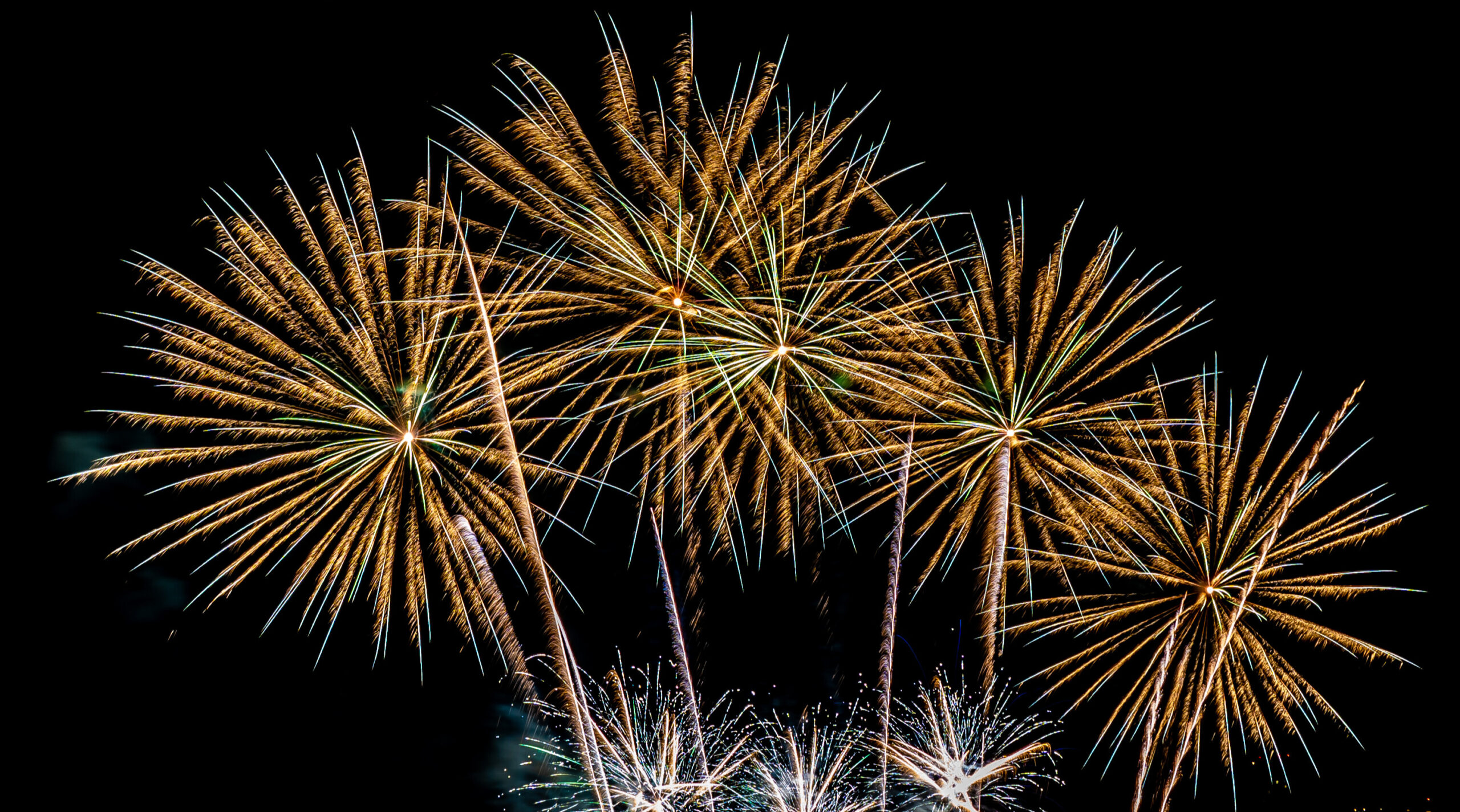 Fireworks against a night sky