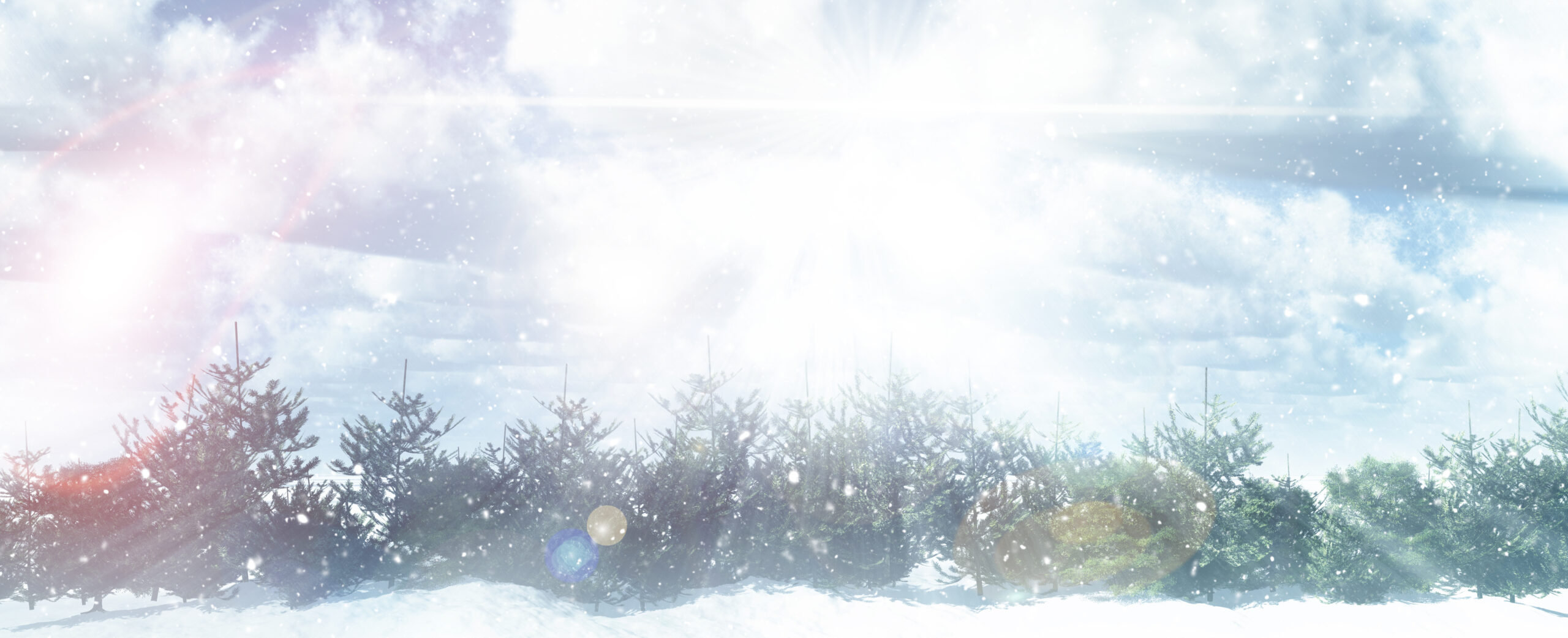 Snowy landscape with fir trees and sunbeams