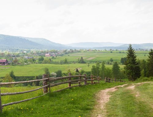 To Live in Quiet and Peace