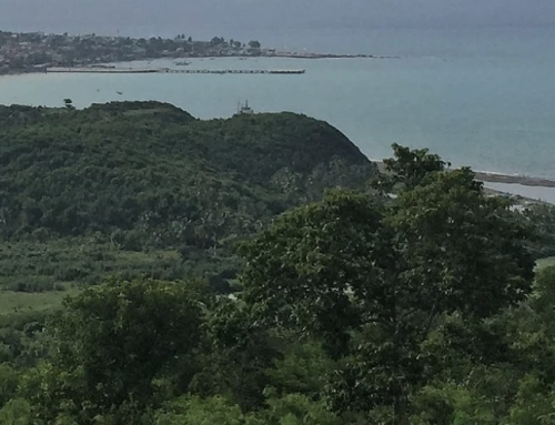 Hope for Haiti, One Meal at a Time