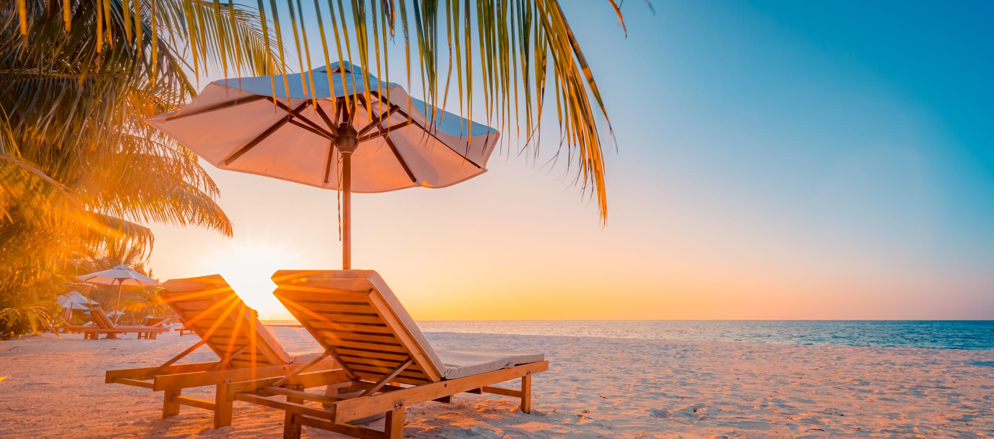 Lounge chairs under an umbrella and palm tree of the beach
